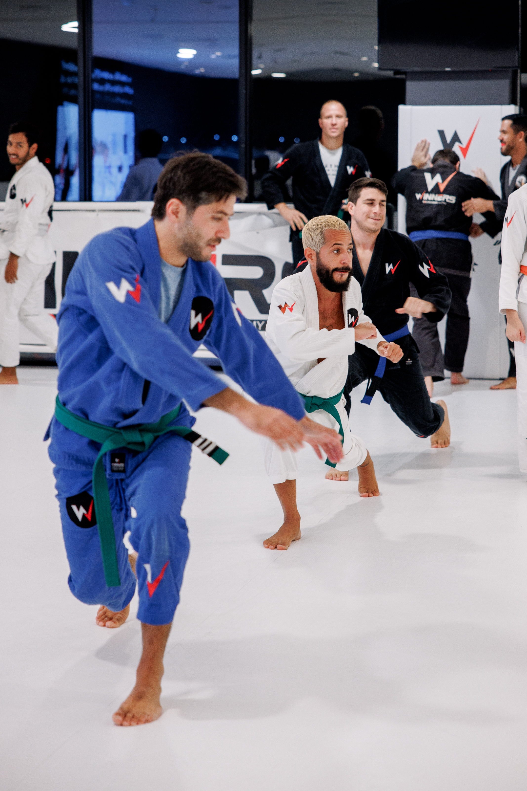 Adult Jiu-Jitsu